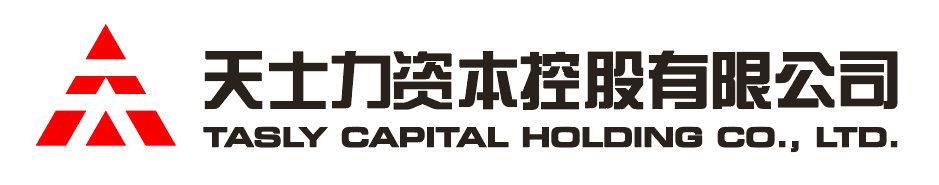 3118云顶集团资本控股有限公司